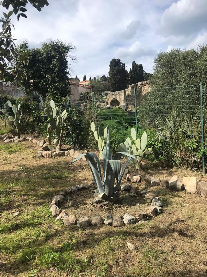 A Casa Di Peppino Villa Greco ティンダリ エクステリア 写真