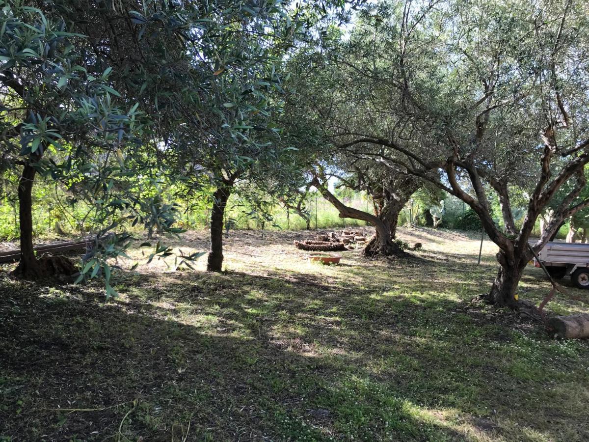 A Casa Di Peppino Villa Greco ティンダリ エクステリア 写真
