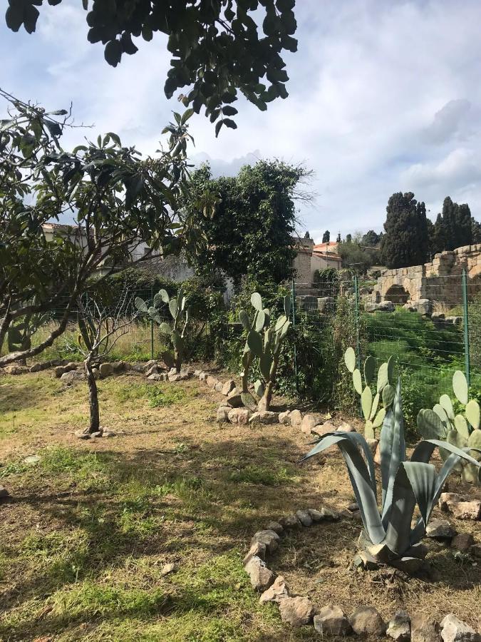 A Casa Di Peppino Villa Greco ティンダリ エクステリア 写真