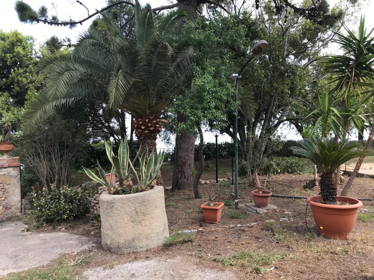 A Casa Di Peppino Villa Greco ティンダリ エクステリア 写真