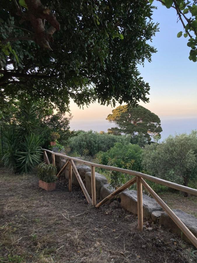A Casa Di Peppino Villa Greco ティンダリ エクステリア 写真