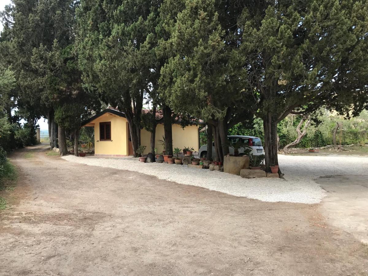 A Casa Di Peppino Villa Greco ティンダリ エクステリア 写真